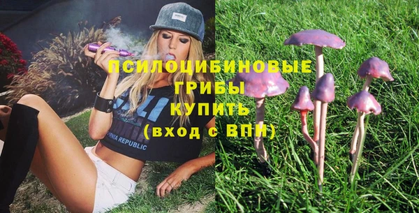 дурь Богданович