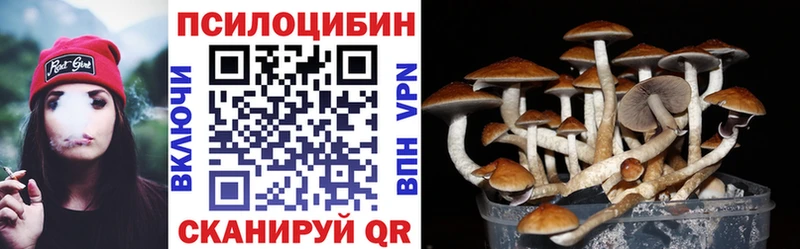 купить закладку Новое Девяткино Псилоцибиновые грибы мухоморы